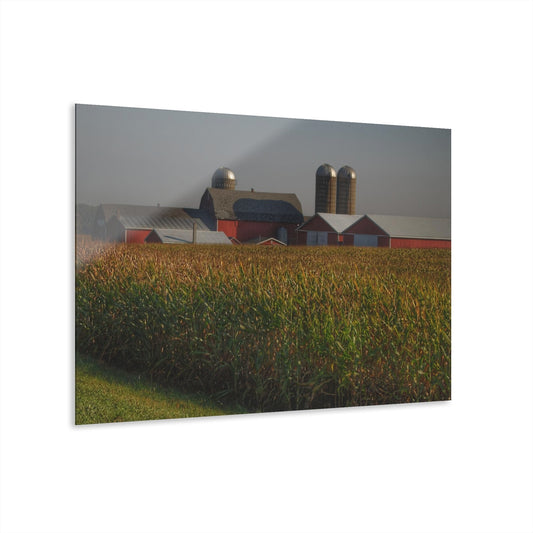Nature’s Embrace - Barns and Surrounding Landscapes