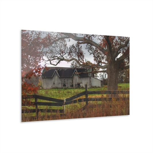 The Resilience of Rural Barns - Standing the Test of Time