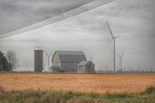 Pinnebog Road Barn
