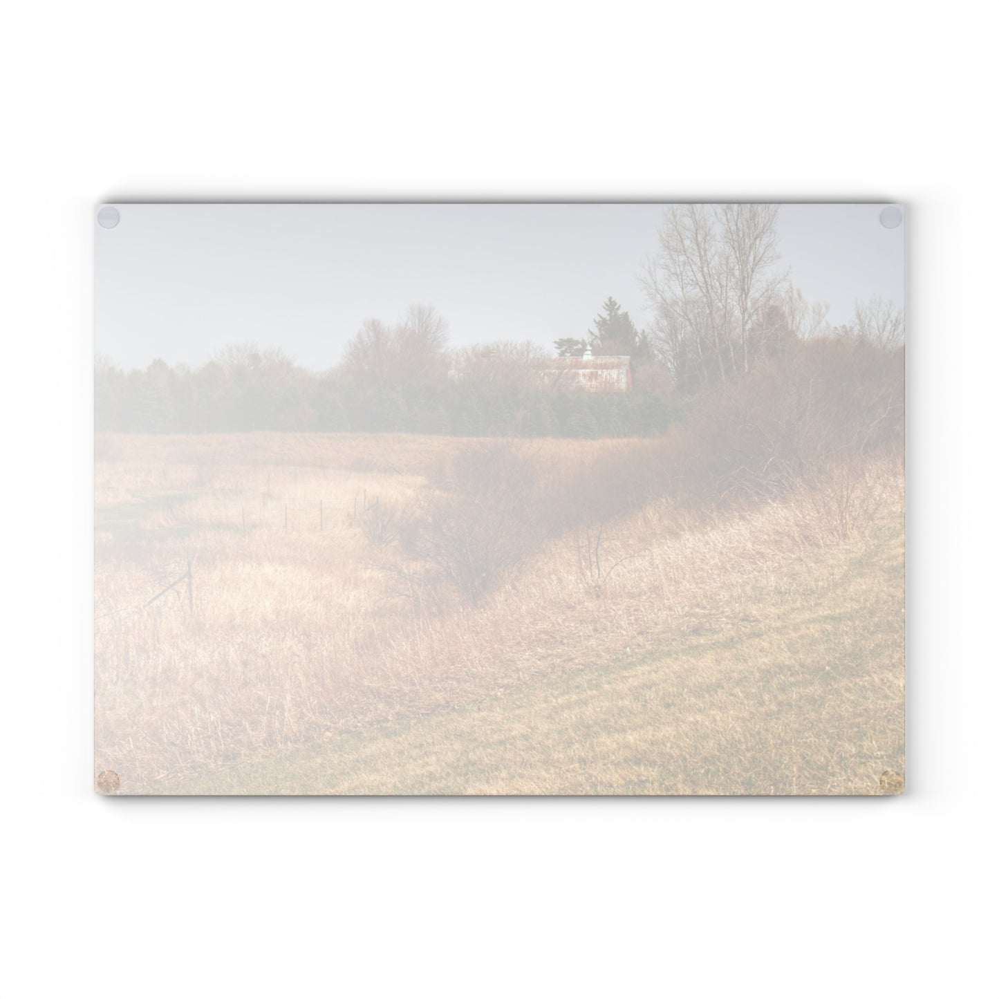 U R There Photography Beyond the Short Pines Rustic Farmhouse Tempered-Glass Cutting Board