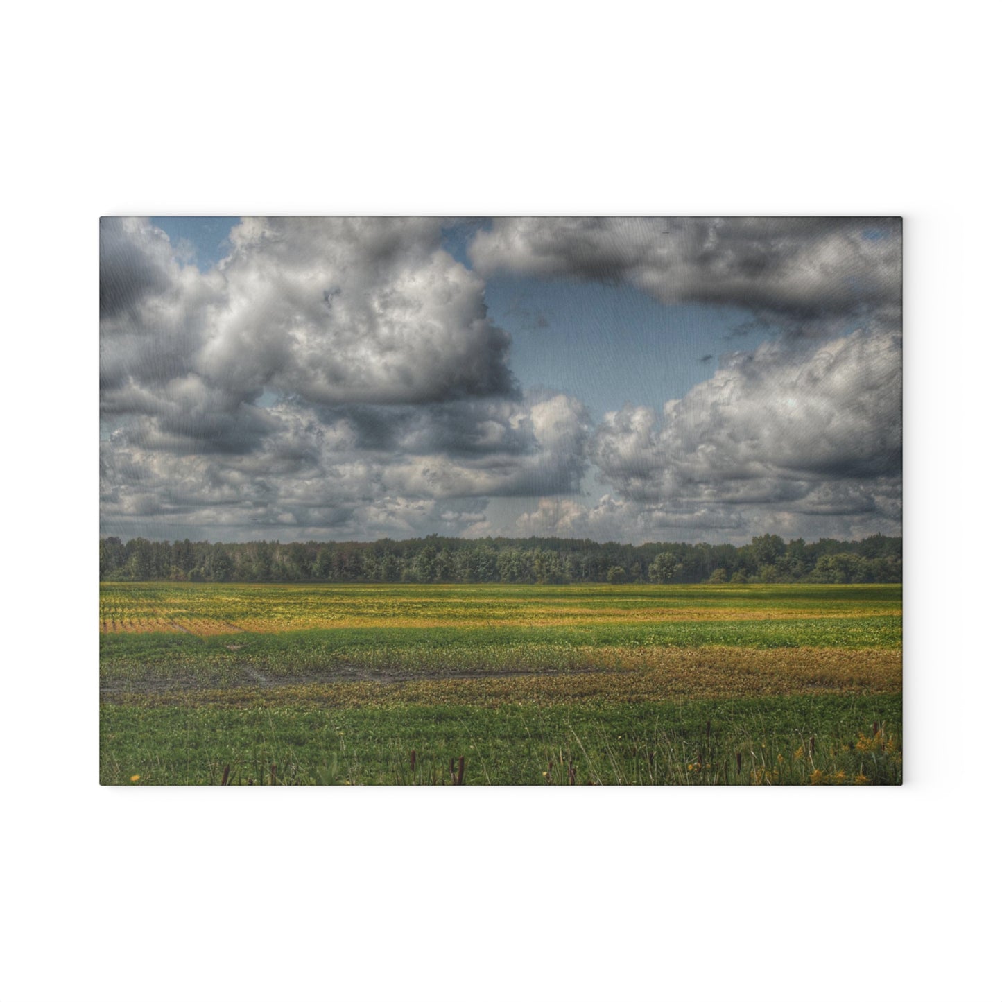 U R There Photography Skies of September Rustic Farmhouse Tempered-Glass Cutting Board