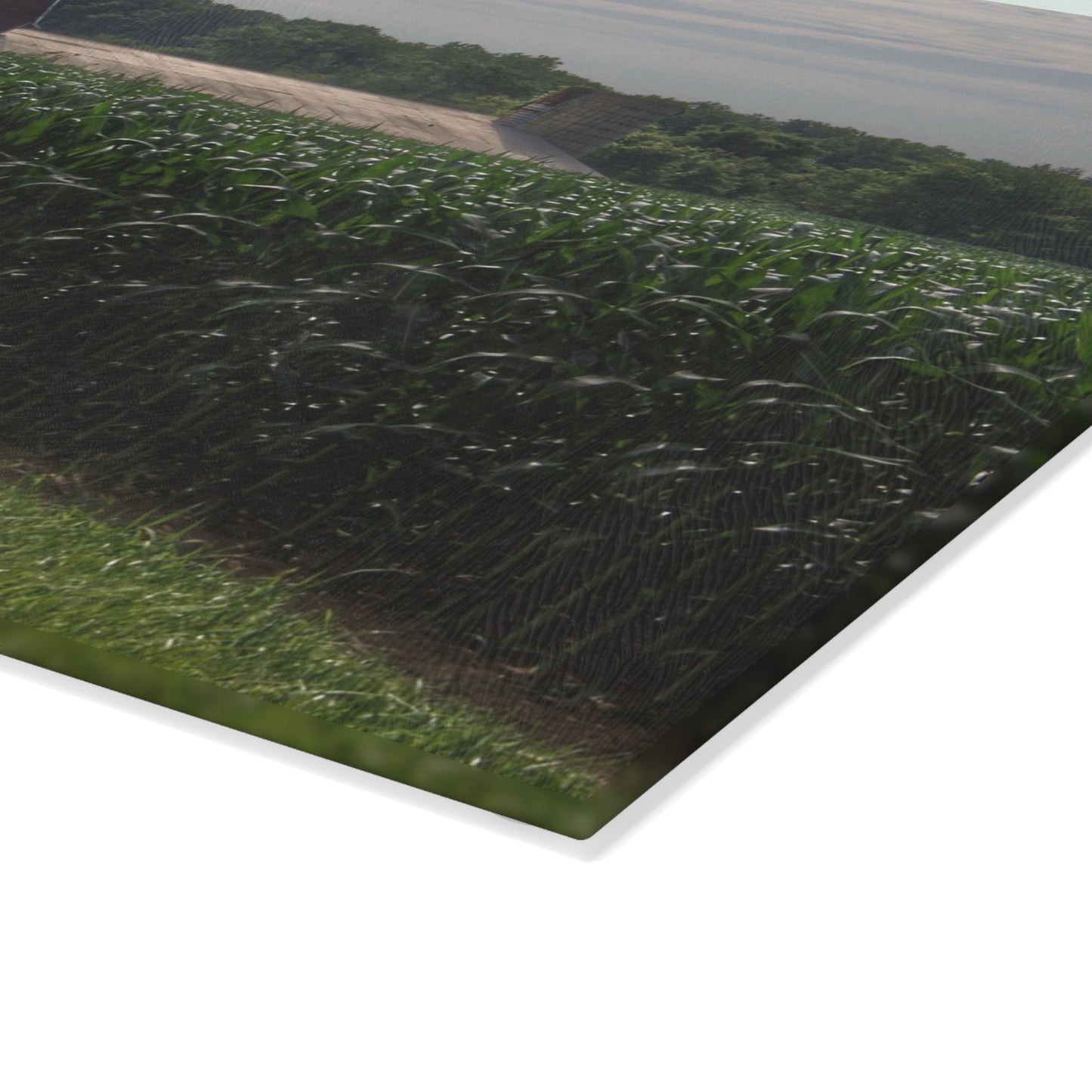 U R There Photography Above the Corn on Piersonville Road II Rustic Farmhouse Tempered-Glass Cutting Board
