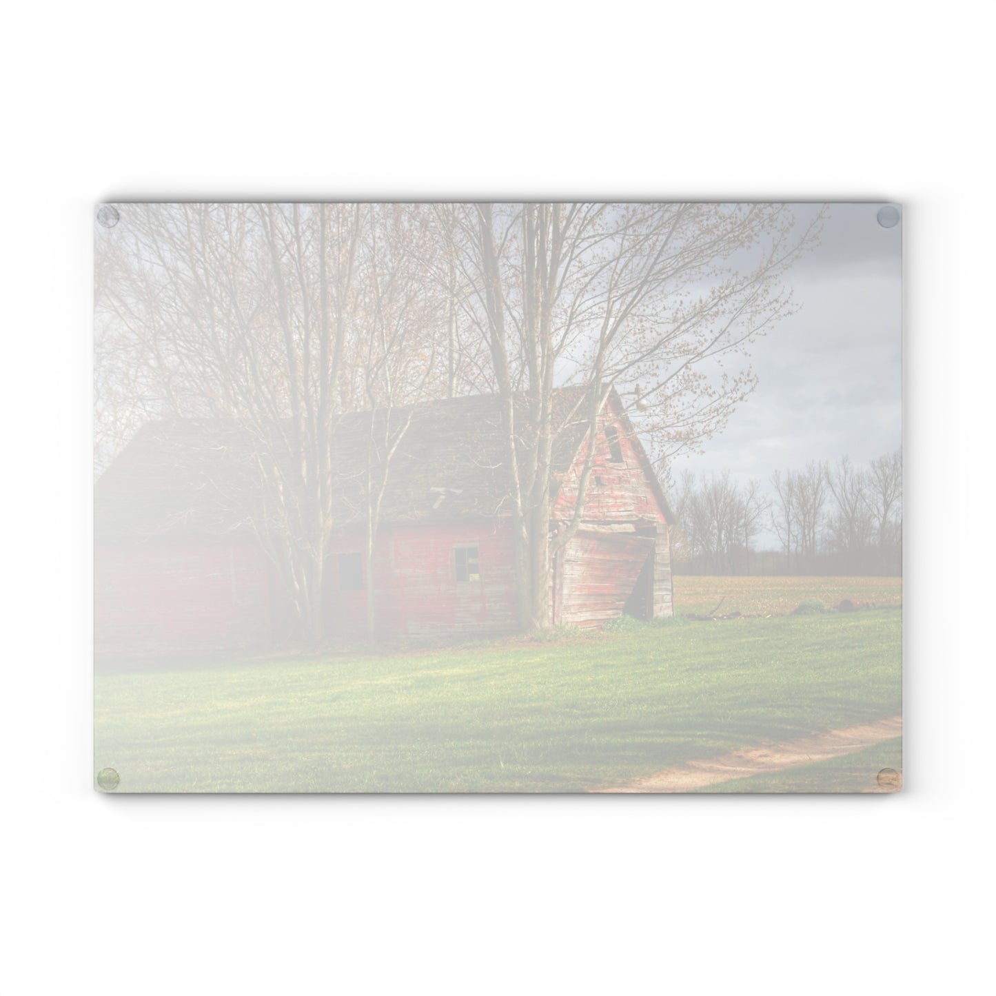 U R There Photography Centerline Shack Rustic Farmhouse Tempered-Glass Cutting Board