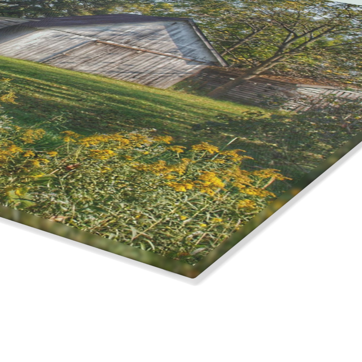 U R There Photography Bowers Road Little White Rustic Farmhouse Tempered-Glass Cutting Board
