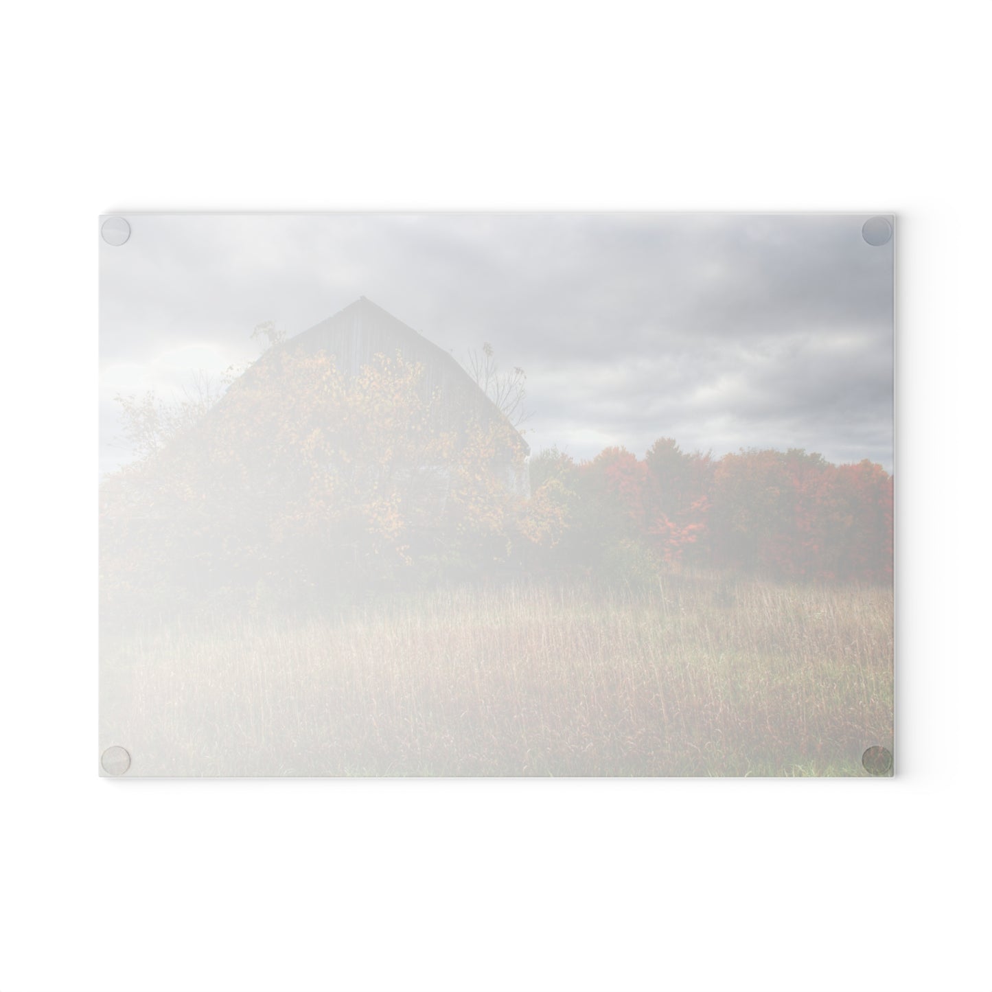 U R There Photography Church Road Grey III Rustic Farmhouse Tempered-Glass Cutting Board