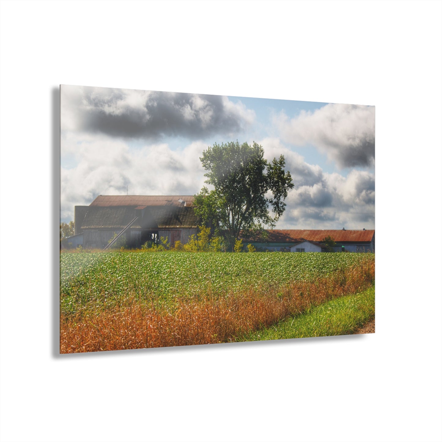 U R There Photography Silverwood Haybarn Rustic Farmhouse Acrylic Wall Print