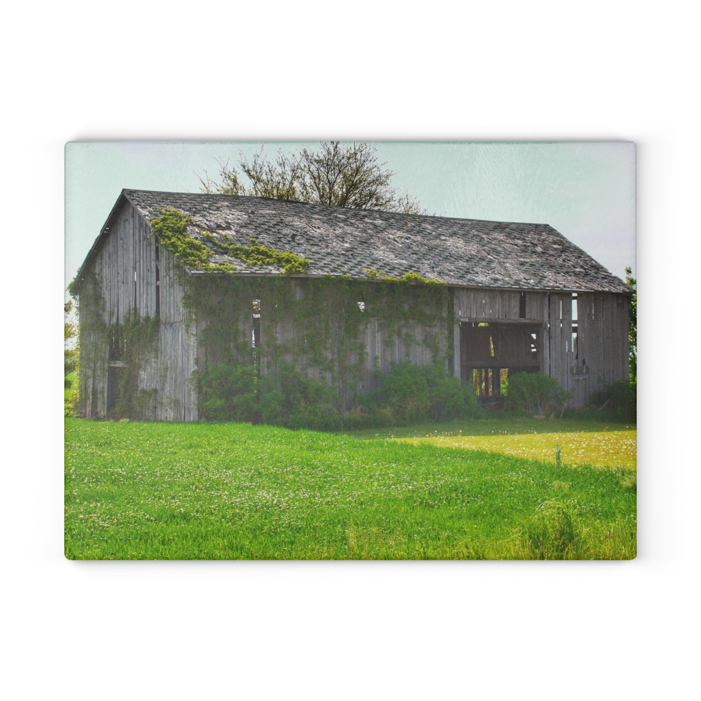 U R There Photography Caro Road Twin Grey II Rustic Farmhouse Tempered-Glass Cutting Board