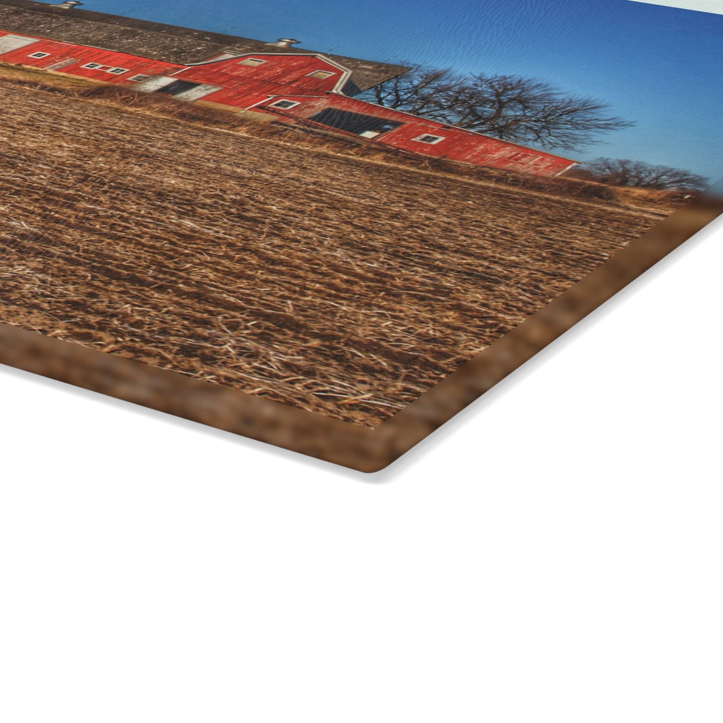 U R There Photography Rochester Road Red II Rustic Farmhouse Tempered-Glass Cutting Board