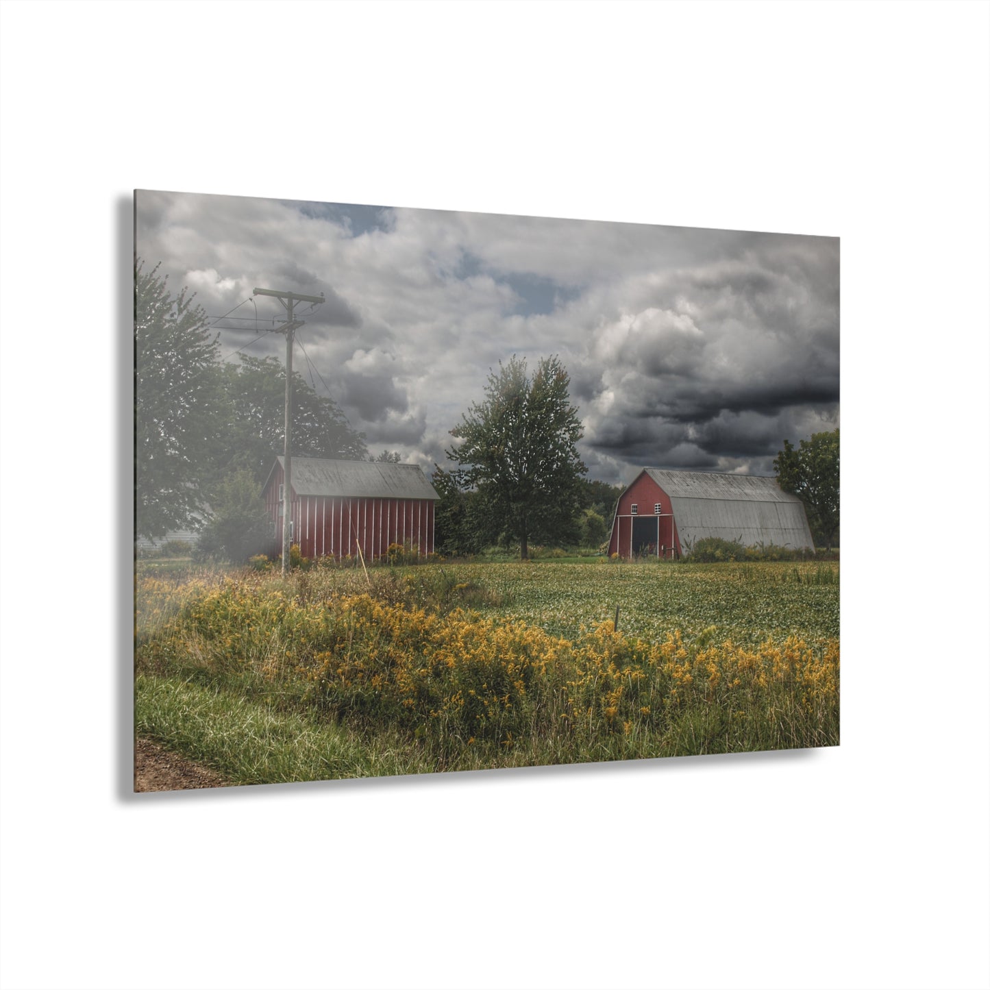 U R There Photography Pinstripe Barn and Buddy II Rustic Farmhouse Acrylic Wall Print