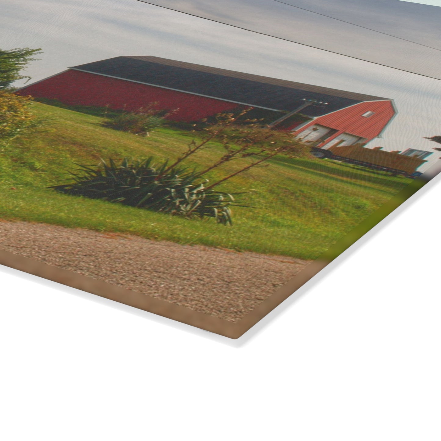 U R There Photography Schott Road Generations Rustic Farmhouse Tempered-Glass Cutting Board