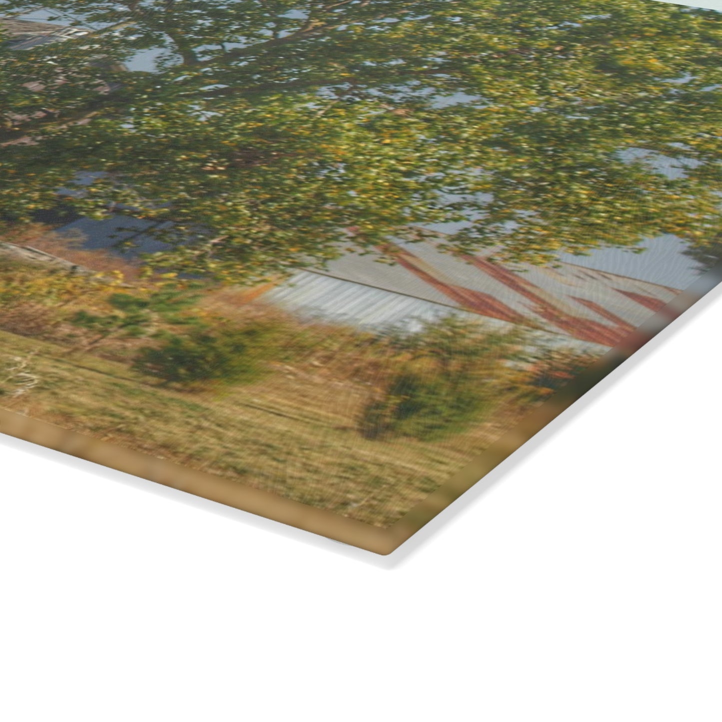 U R There Photography Barnes Road Old Grey I Rustic Farmhouse Tempered-Glass Cutting Board
