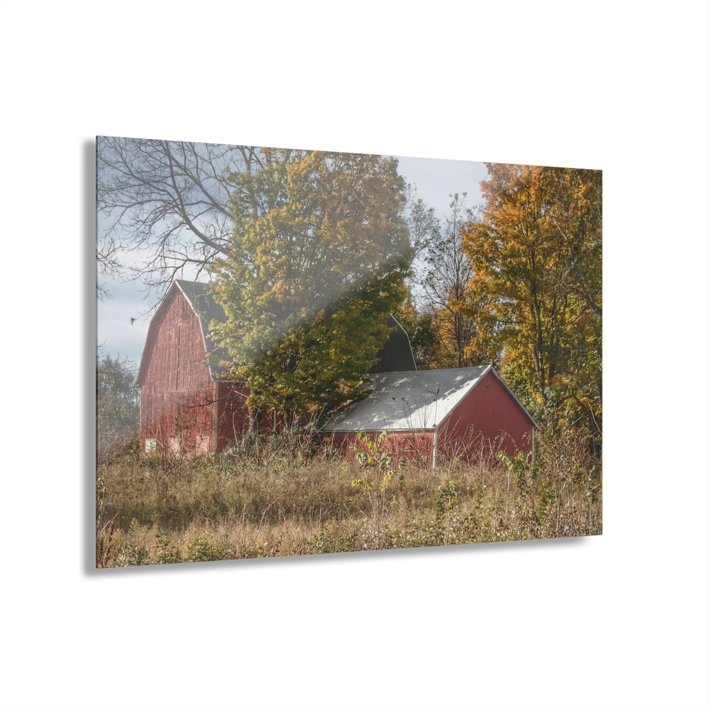 U R There Photography Bowers Road Red I Rustic Farmhouse Acrylic Wall Print