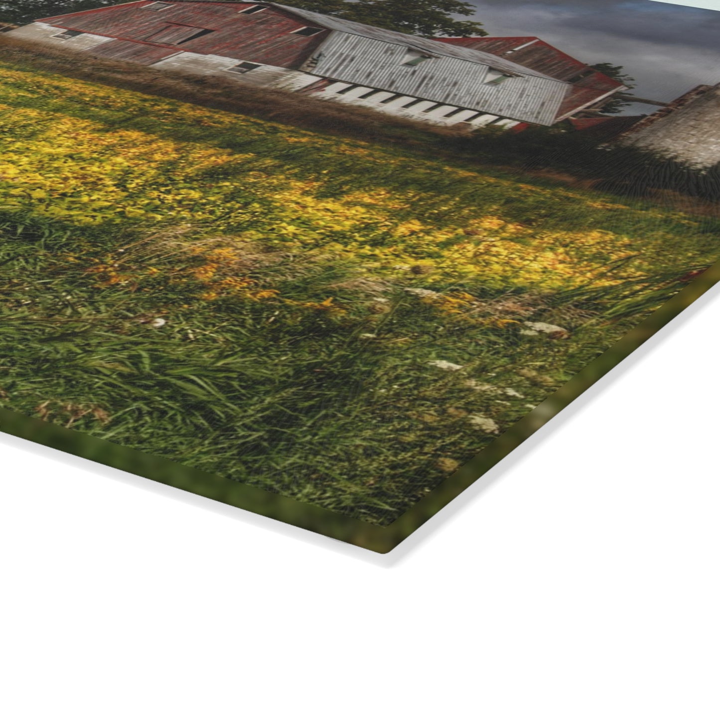U R There Photography Remnants Rustic Farmhouse Tempered-Glass Cutting Board