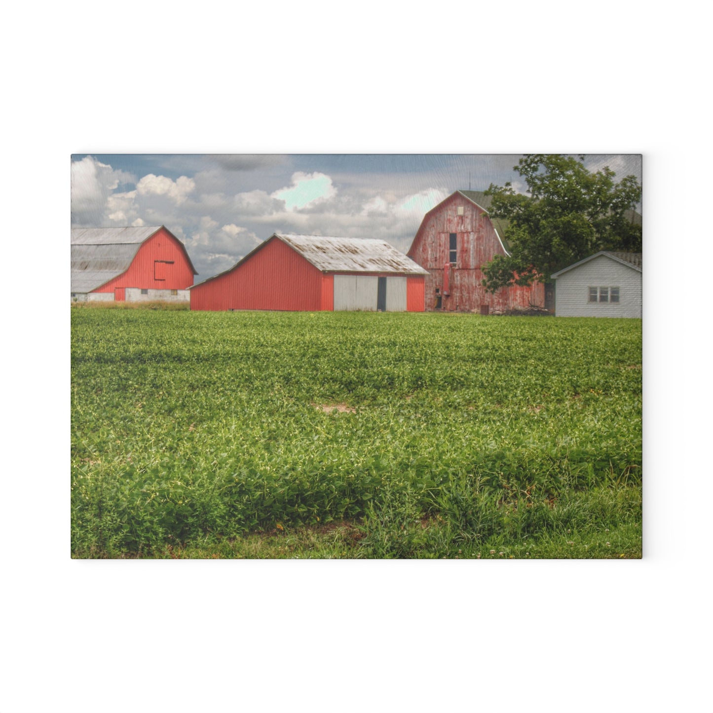 U R There Photography Roadside Trio Rustic Farmhouse Tempered-Glass Cutting Board