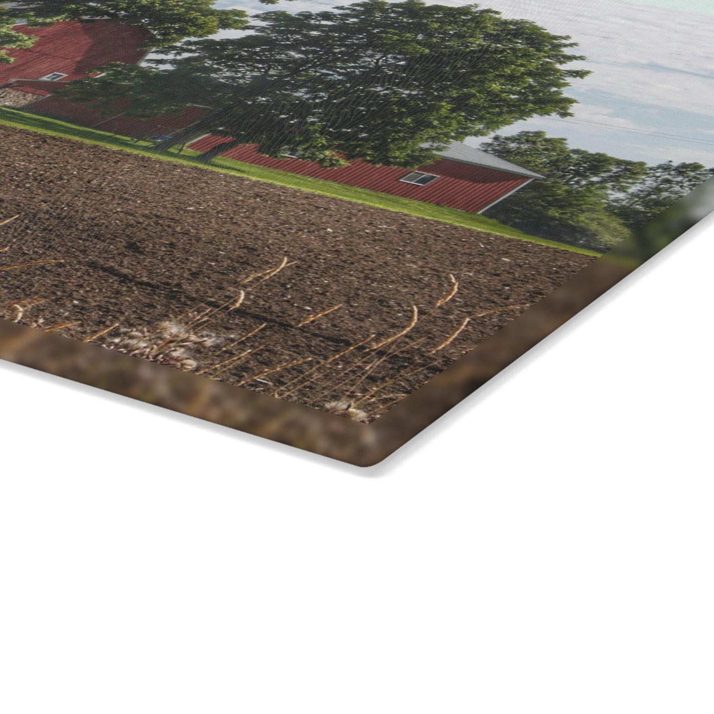 U R There Photography Catlin Road Red II Rustic Farmhouse Tempered-Glass Cutting Board