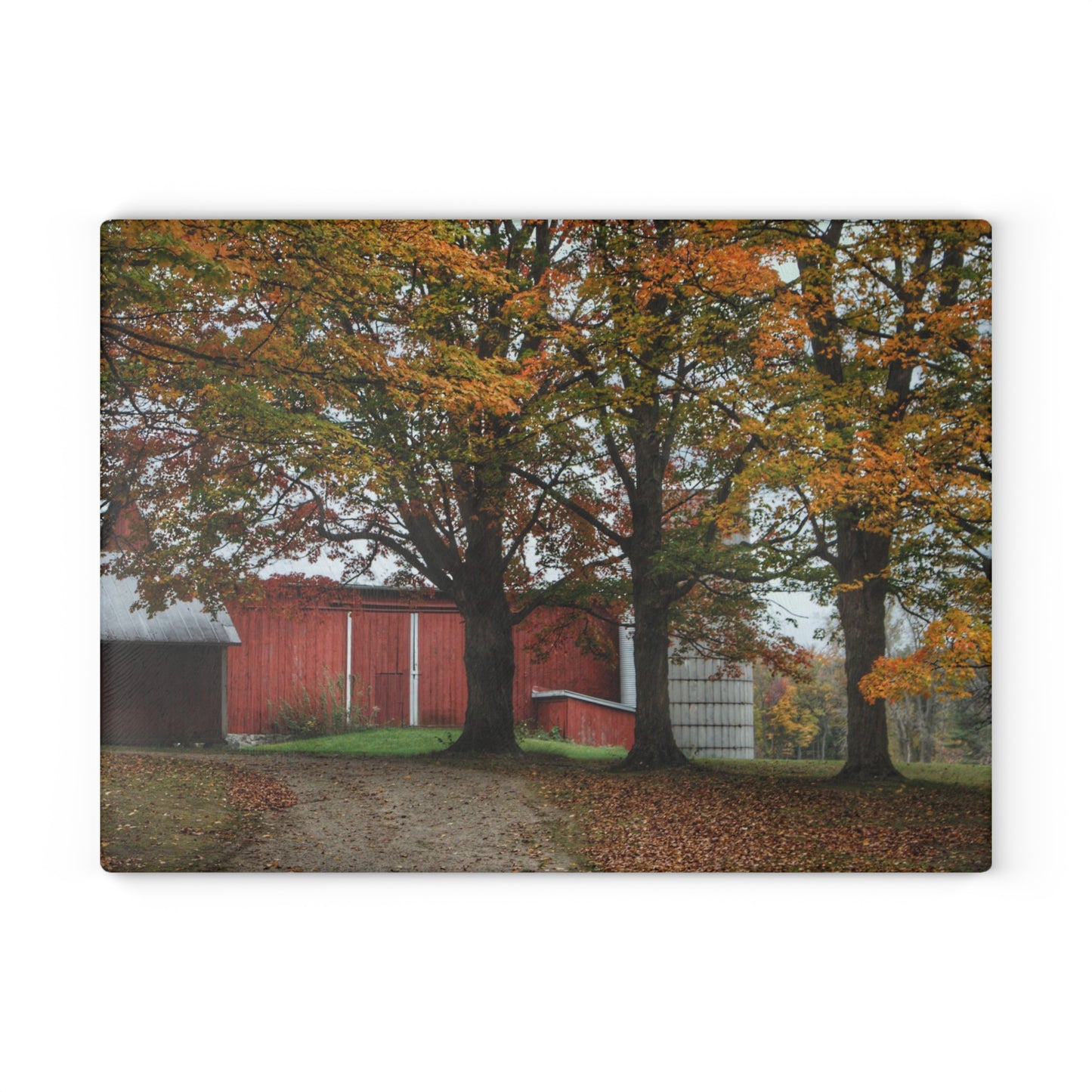 U R There Photography Brown Road Red in the Fall Rustic Farmhouse Tempered-Glass Cutting Board