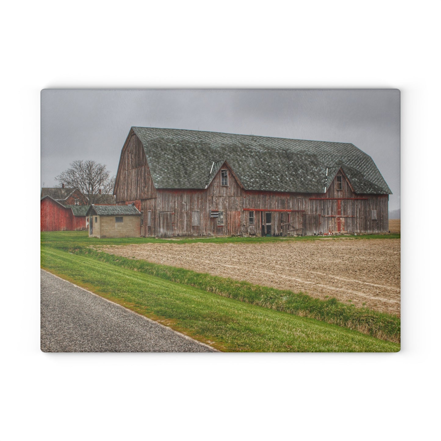 U R There Photography Roedel Roadside Reds I Rustic Farmhouse Tempered-Glass Cutting Board