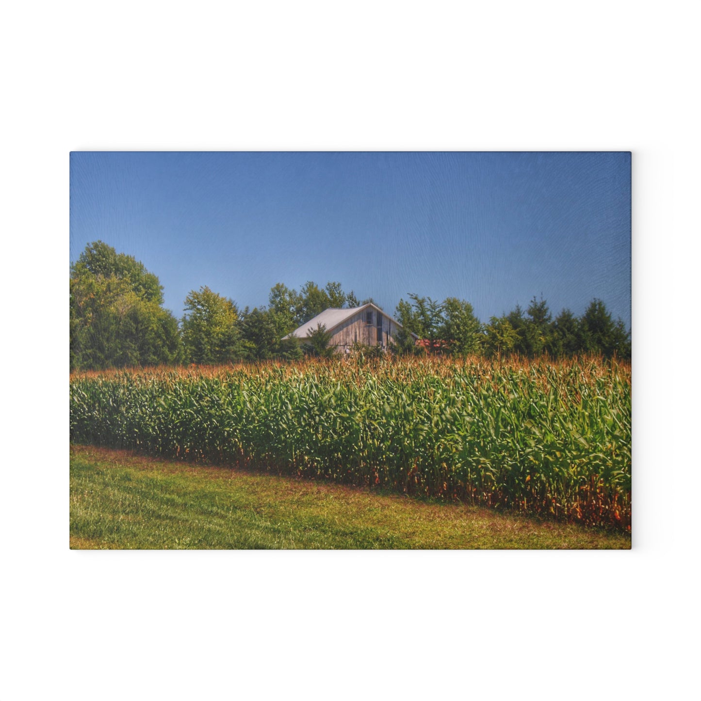 U R There Photography Beyond the Corn on Birch Run Road Rustic Farmhouse Tempered-Glass Cutting Board