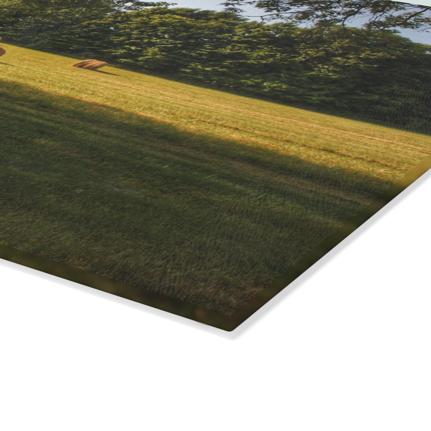 U R There Photography Summer Haybales I Rustic Farmhouse Tempered-Glass Cutting Board