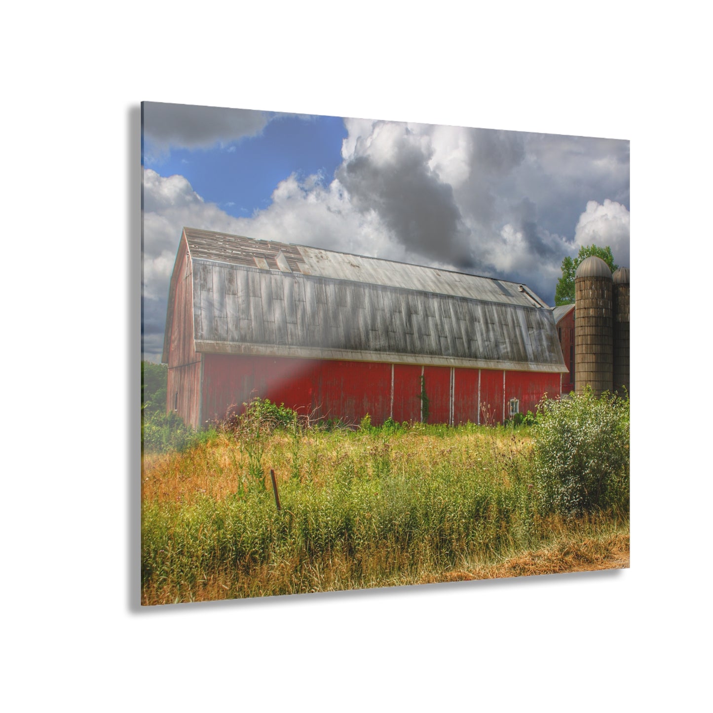 U R There Photography Shelby Red I Rustic Farmhouse Acrylic Wall Print