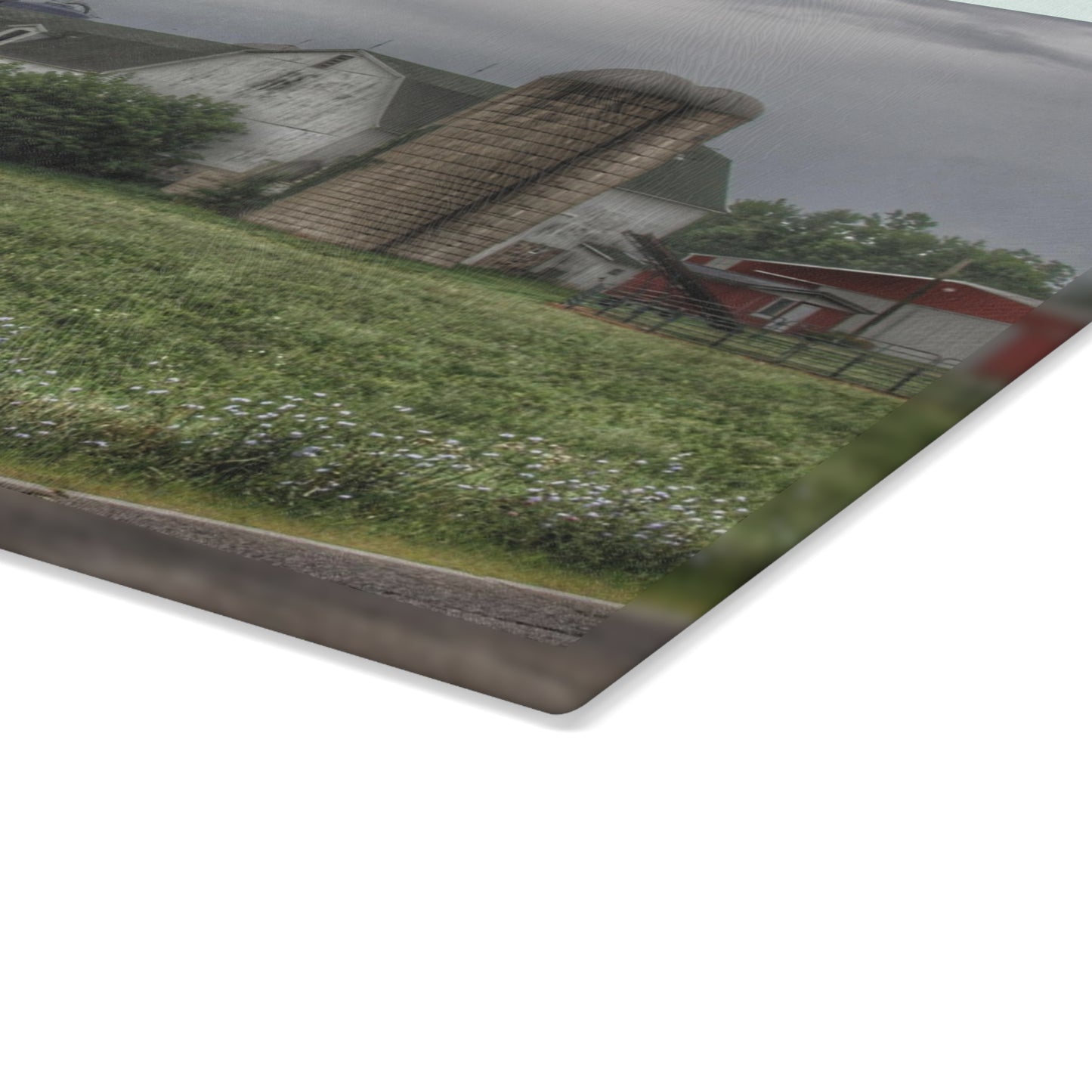 U R There Photography Clark Road White II Rustic Farmhouse Tempered-Glass Cutting Board
