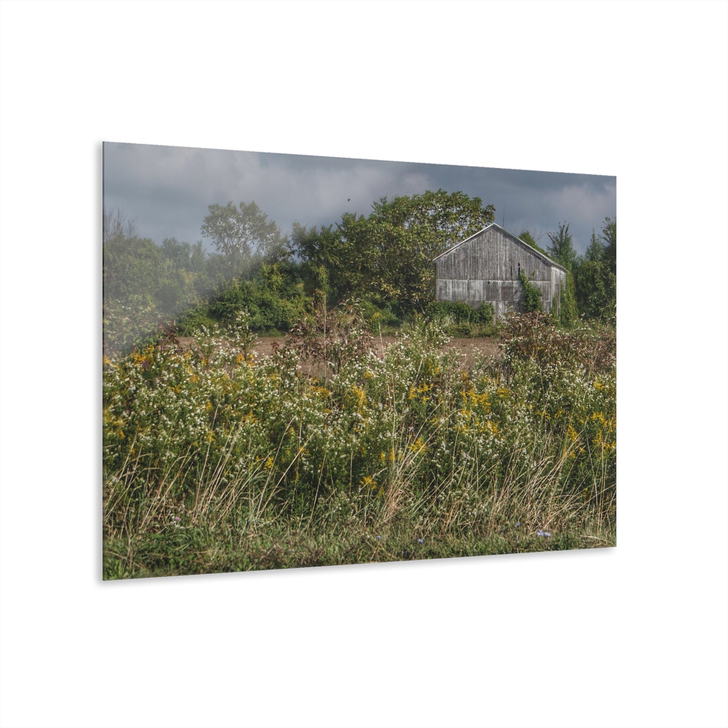 U R There Photography Almont Road Grey Rustic Farmhouse Acrylic Wall Print