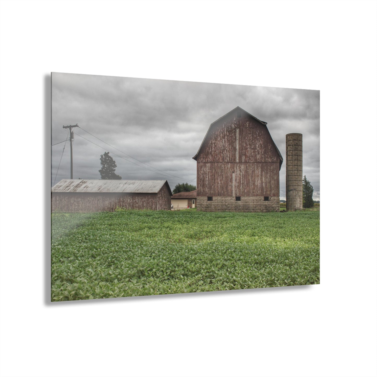 U R There Photography Van Geisen Road Grey Rustic Farmhouse Acrylic Wall Print