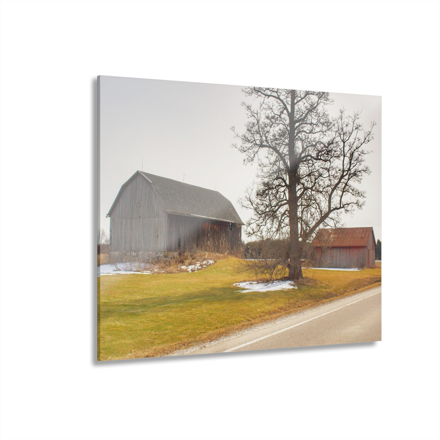 U R There Photography Roadside Greys Rustic Farmhouse Acrylic Wall Print