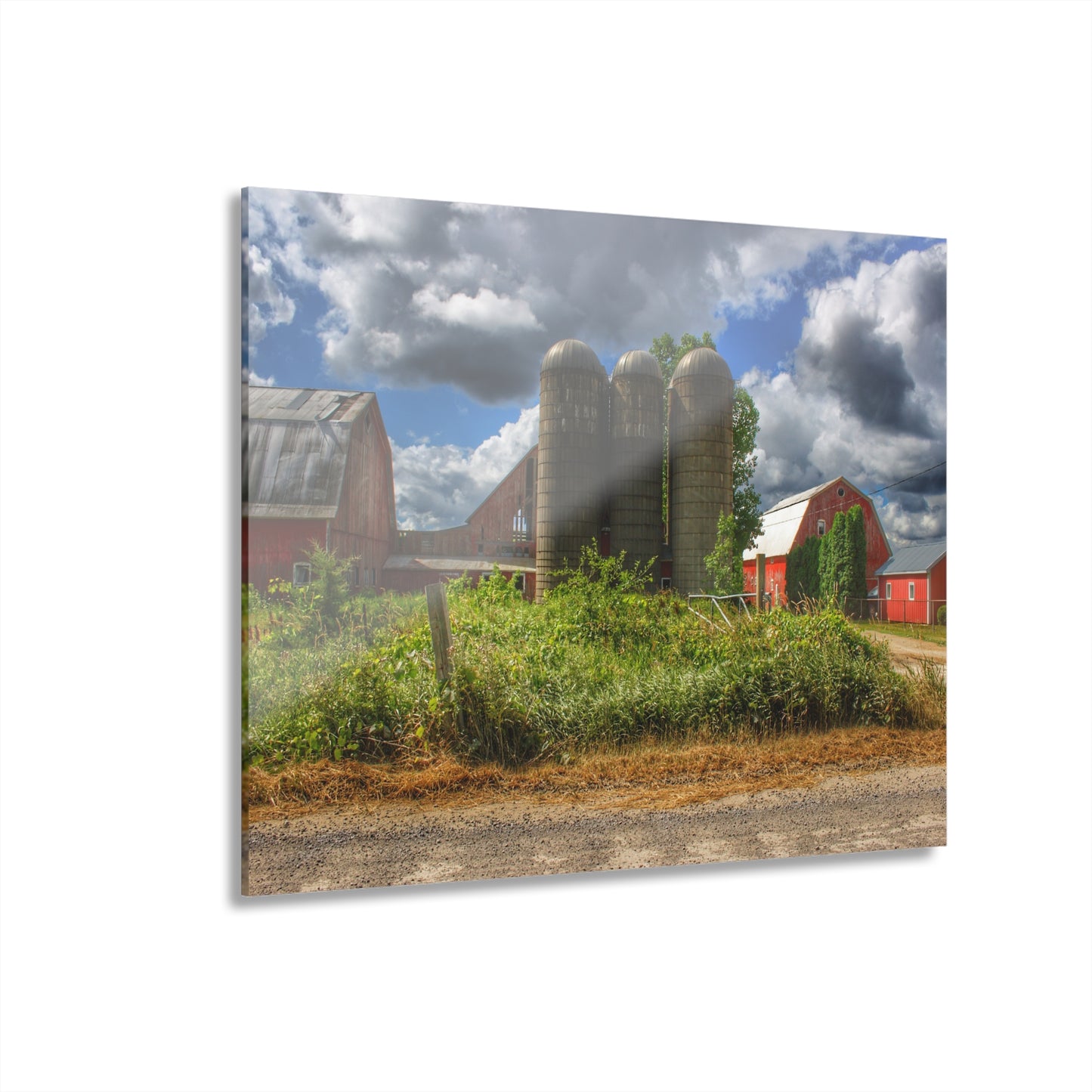 U R There Photography Shelby Red II Rustic Farmhouse Acrylic Wall Print