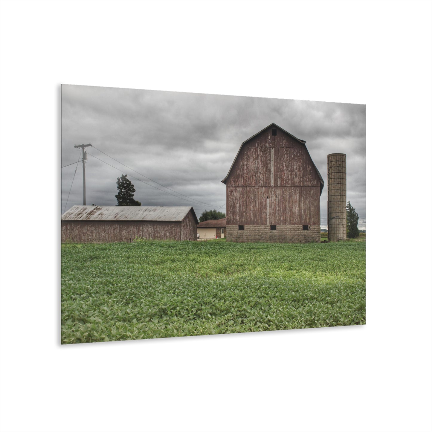 U R There Photography Van Geisen Road Grey Rustic Farmhouse Acrylic Wall Print