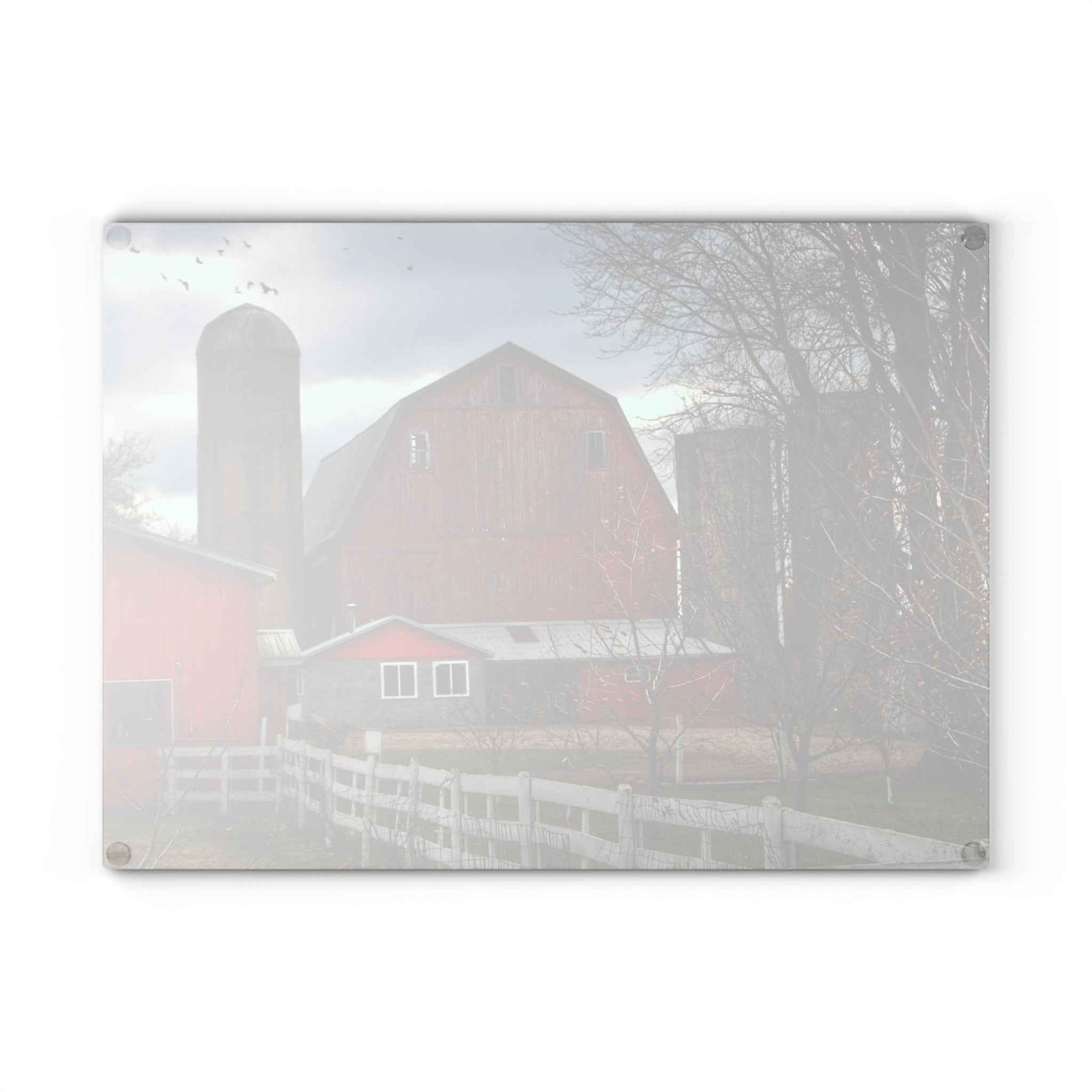 U R There Photography Peck Red Rustic Farmhouse Tempered-Glass Cutting Board