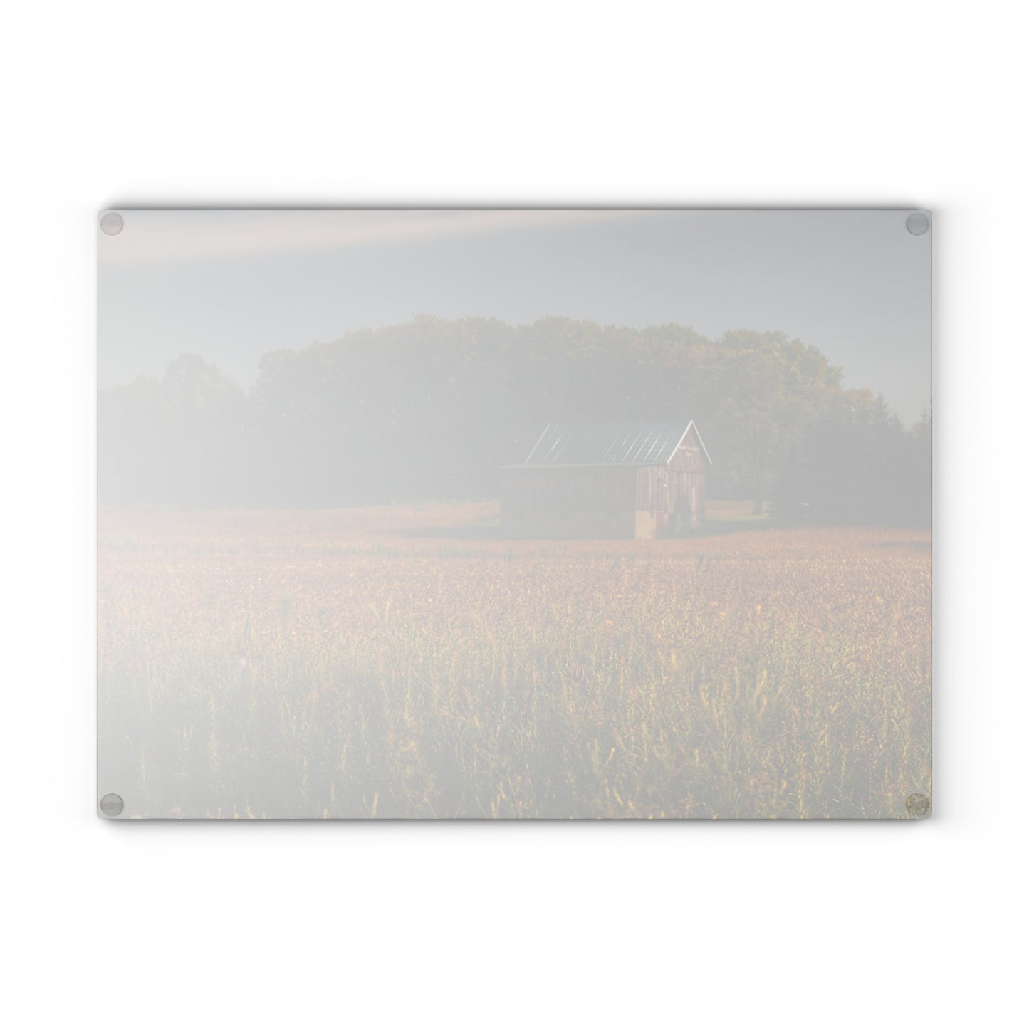 U R There Photography Snover Grey I Rustic Farmhouse Tempered-Glass Cutting Board