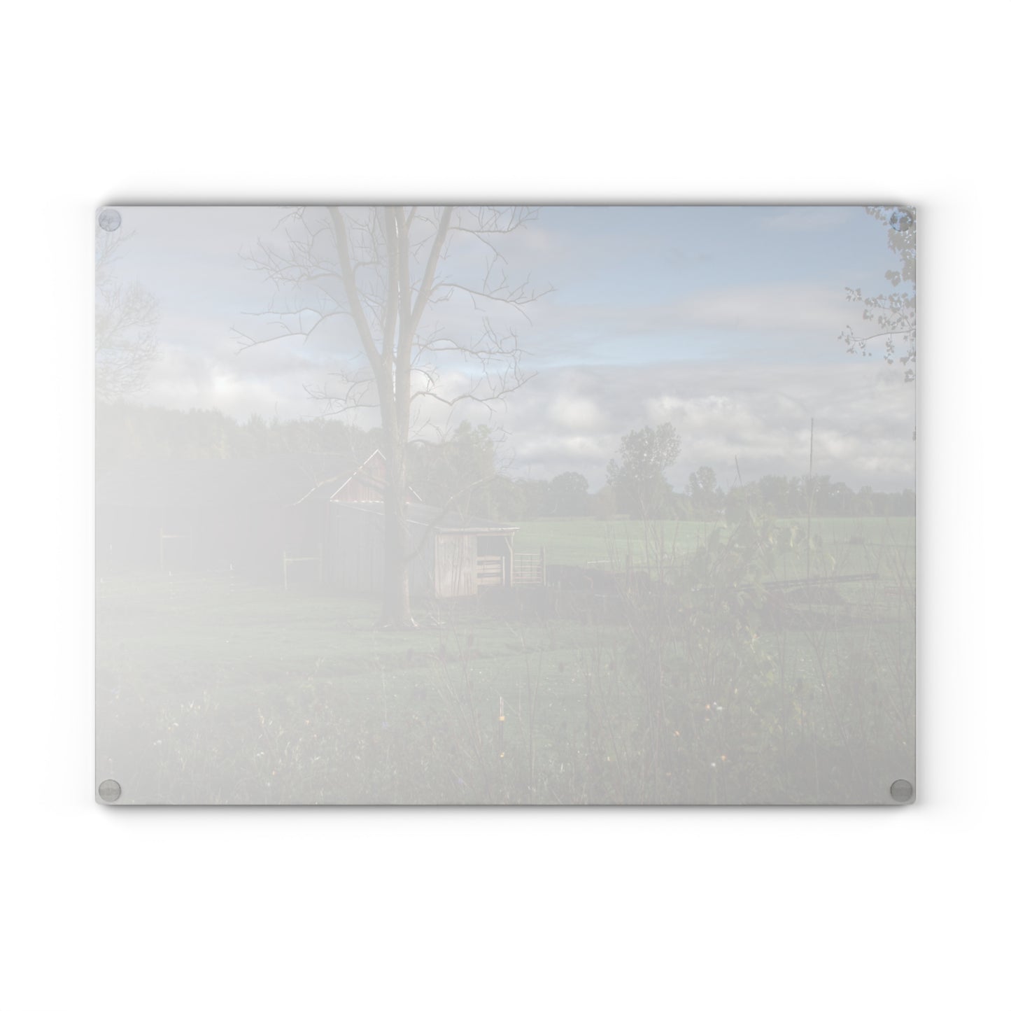 U R There Photography West Oregon Road Hidden Red IV Rustic Farmhouse Tempered-Glass Cutting Board