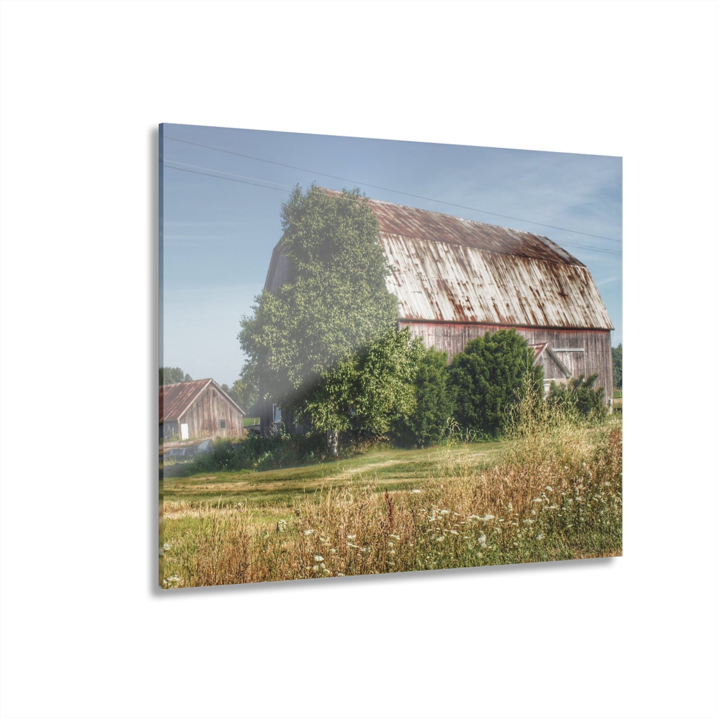 U R There Photography Barkley Road Red in Summer II Rustic Farmhouse Acrylic Wall Print