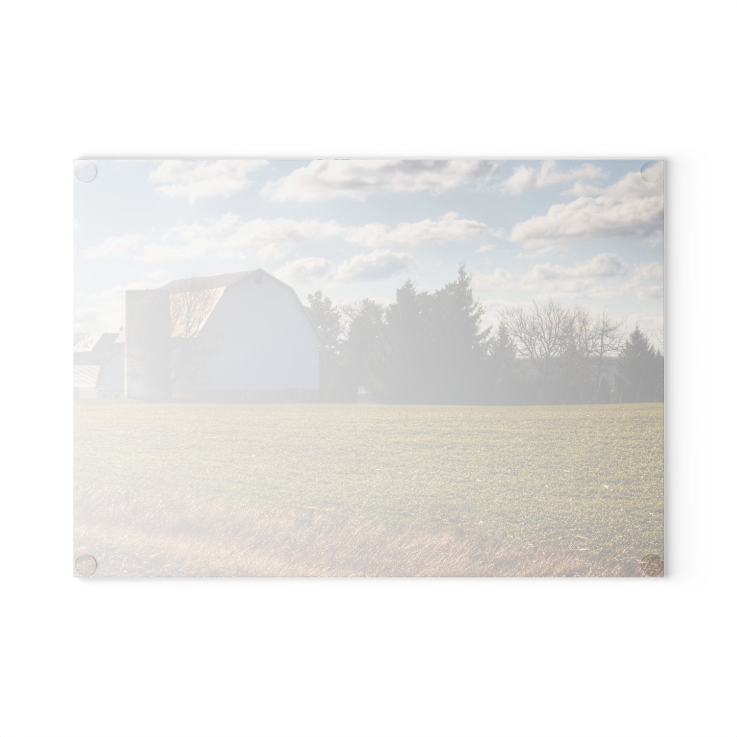 U R There Photography Sandusky White Rustic Farmhouse Tempered-Glass Cutting Board