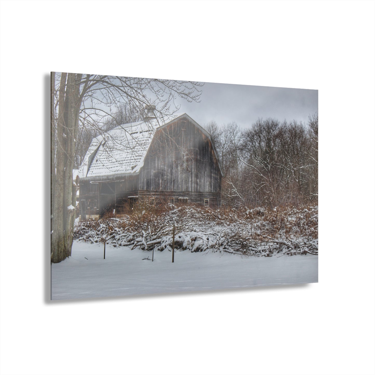 U R There Photography Vassar Road Hidden Grey in Winter Rustic Farmhouse Acrylic Wall Print