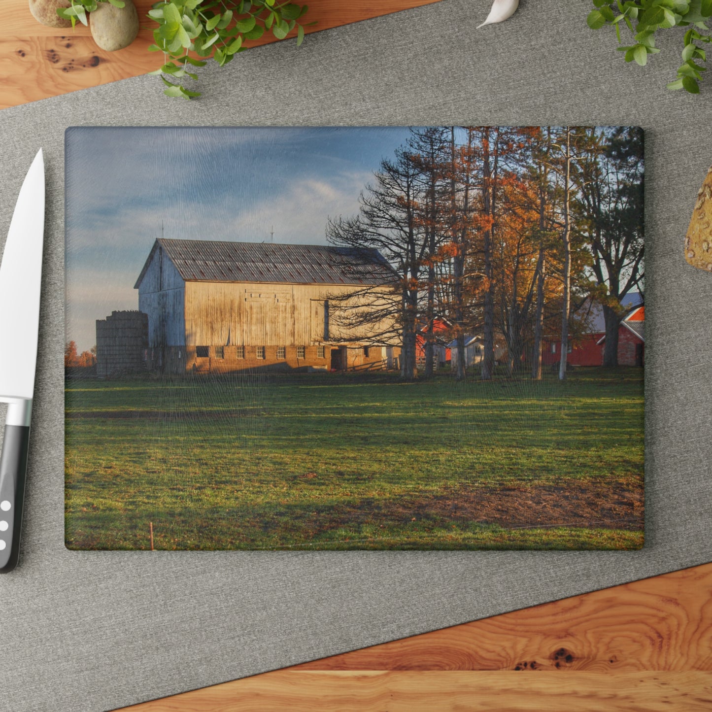 U R There Photography Peck Road White Rustic Farmhouse Tempered-Glass Cutting Board