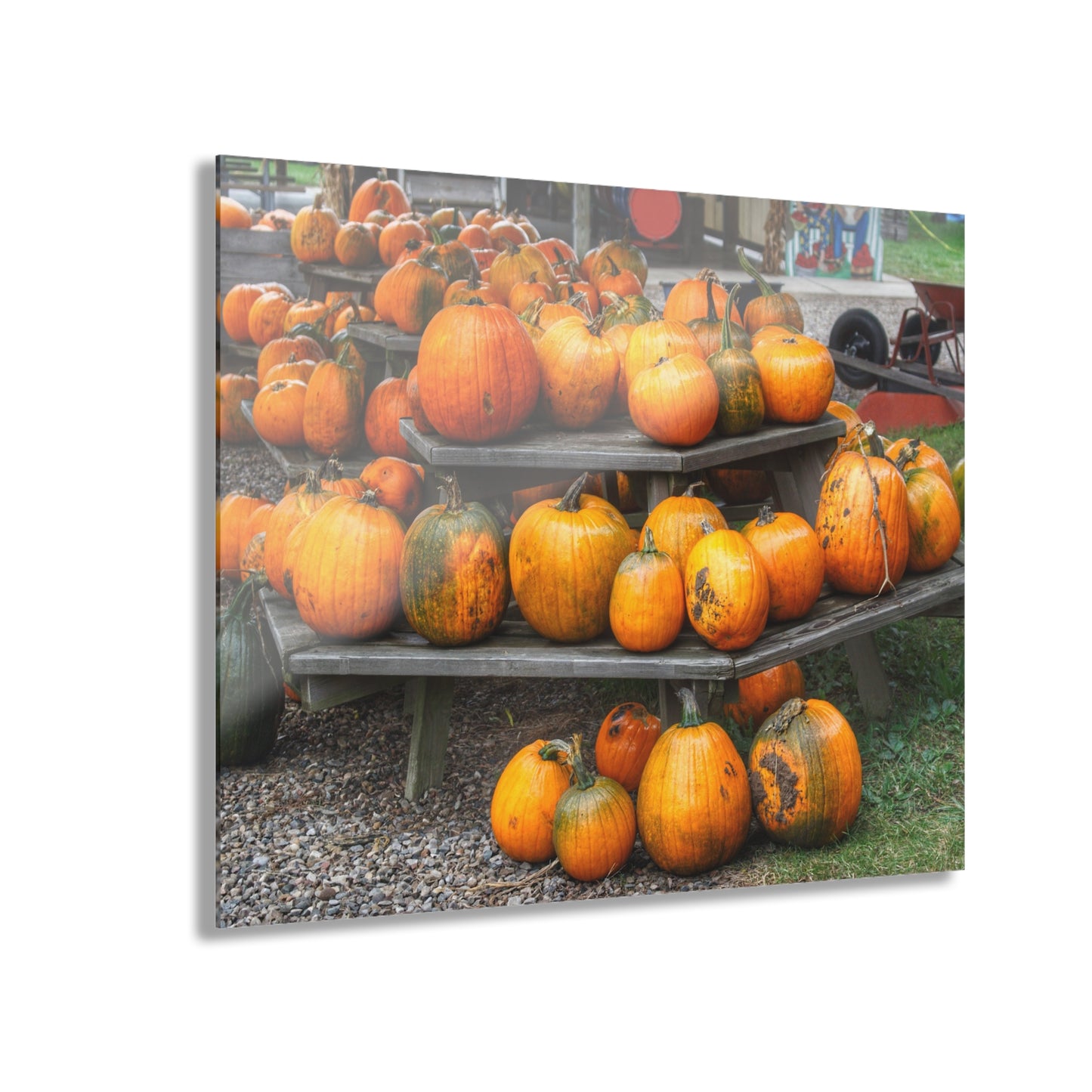 U R There Photography Tabletop Pumpkins Rustic Farmhouse Acrylic Wall Print