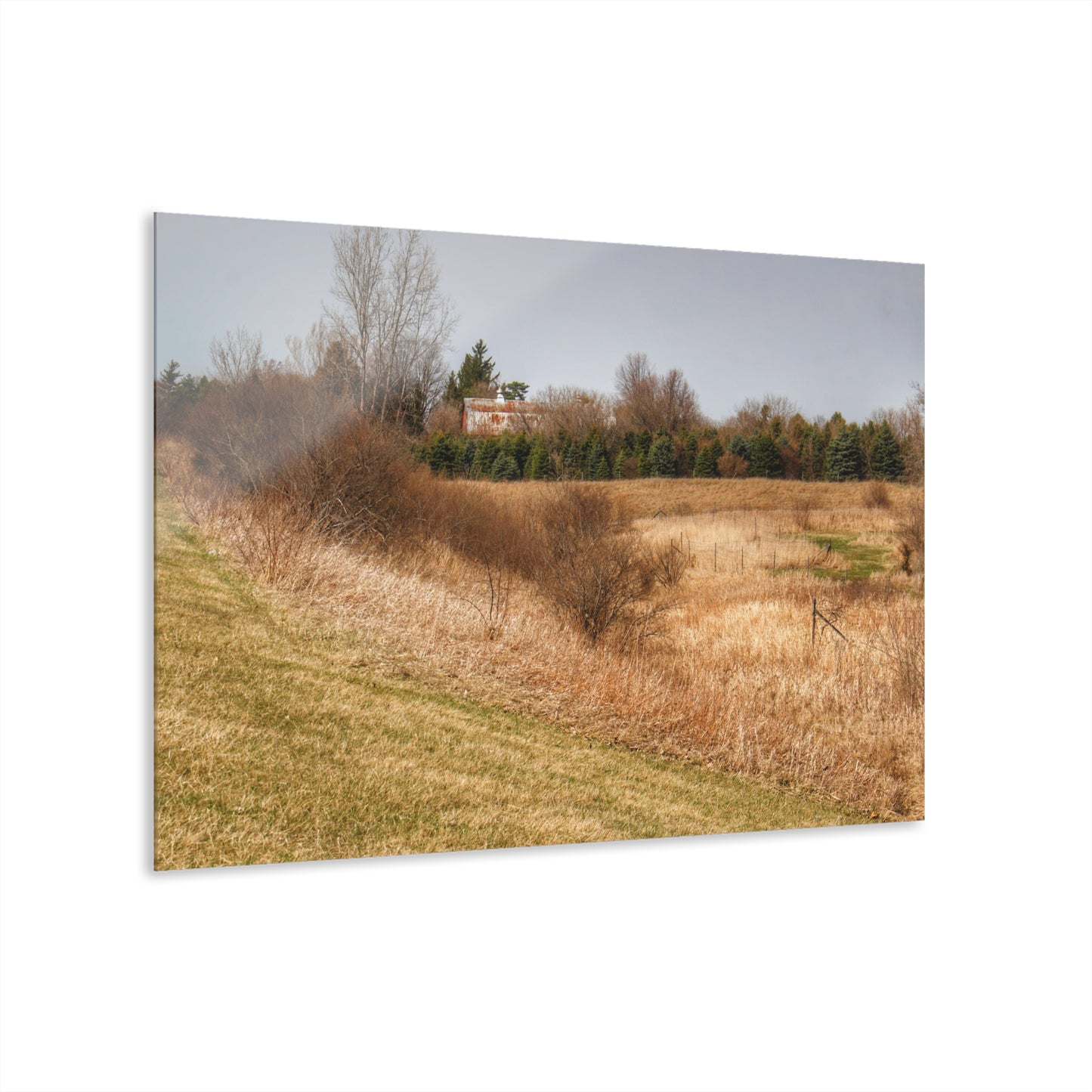 U R There Photography Beyond the Short Pines Rustic Farmhouse Acrylic Wall Print
