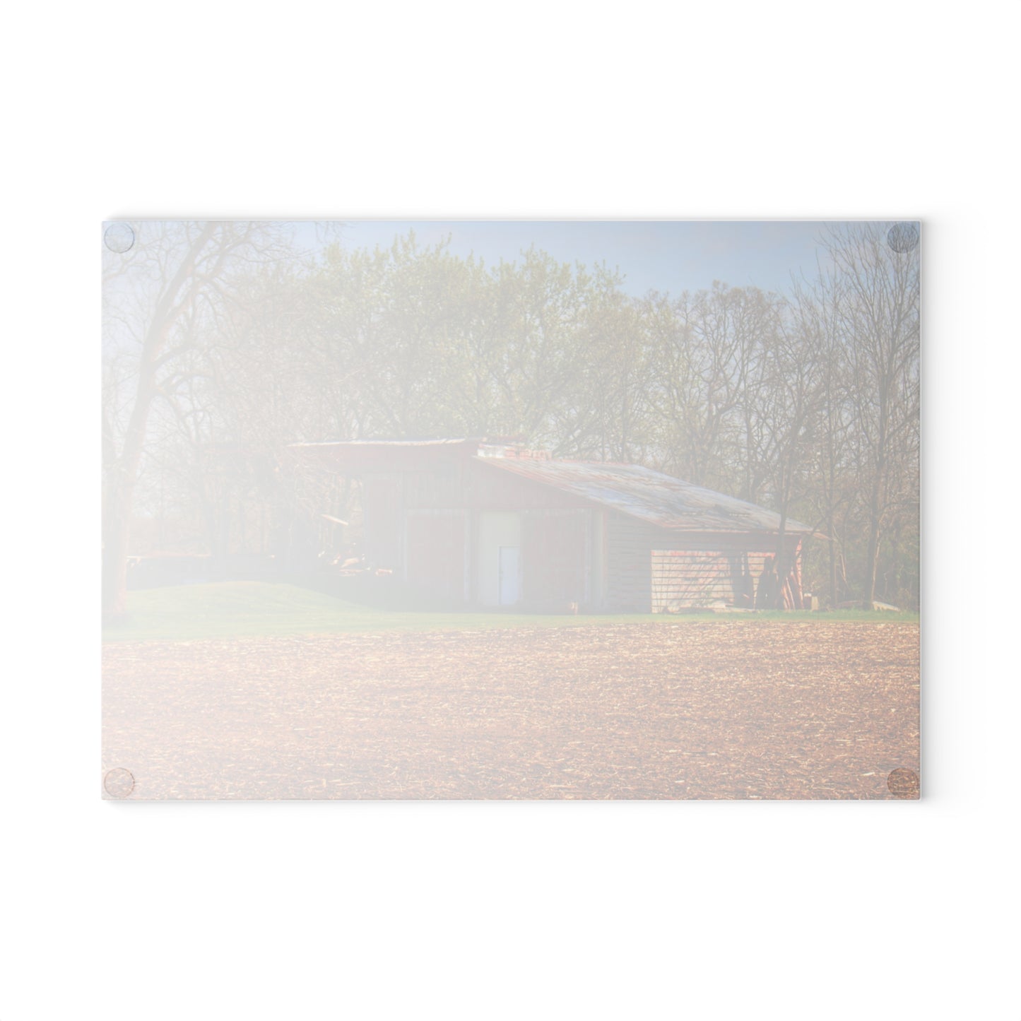 U R There Photography Sohn Roadside Relic Rustic Farmhouse Tempered-Glass Cutting Board