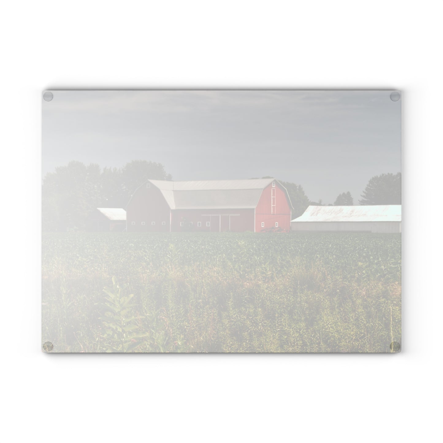U R There Photography Townline Road Red Rustic Farmhouse Tempered-Glass Cutting Board