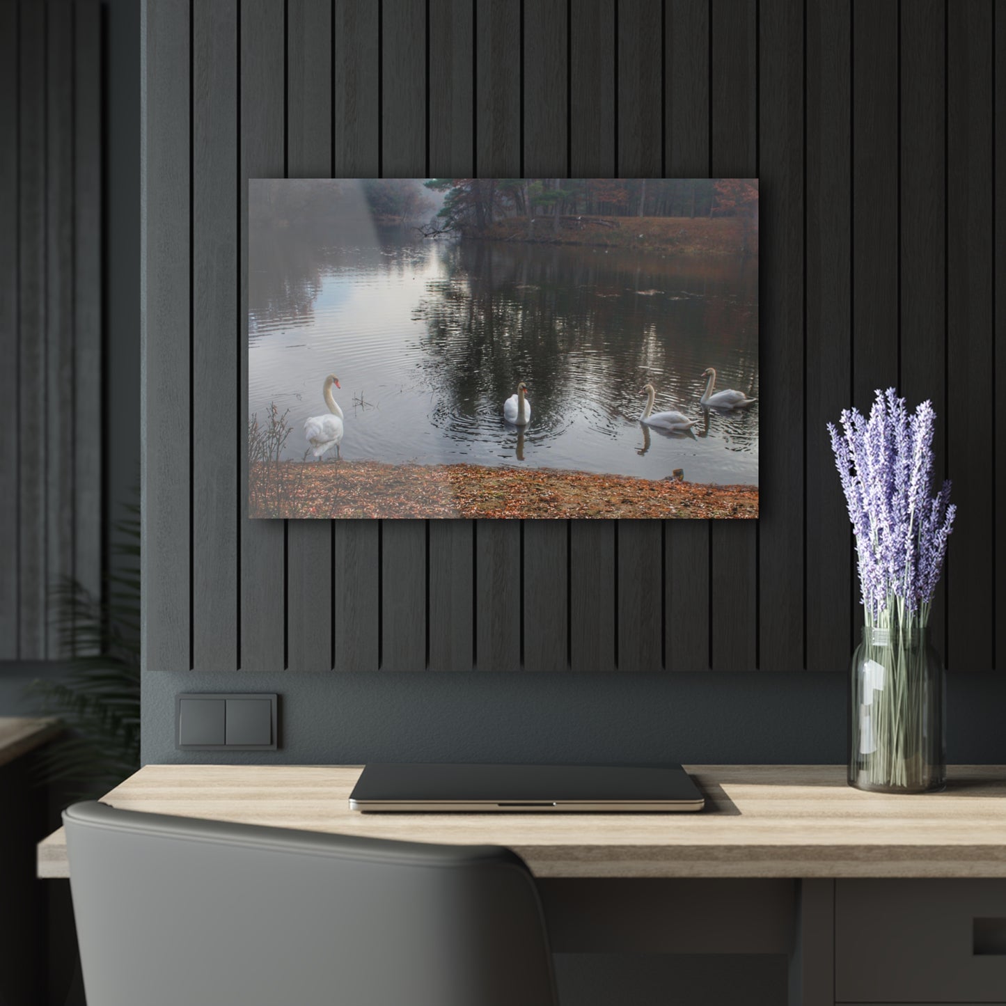 U R There Photography Swans of Duck Lake I Rustic Farmhouse Acrylic Wall Print