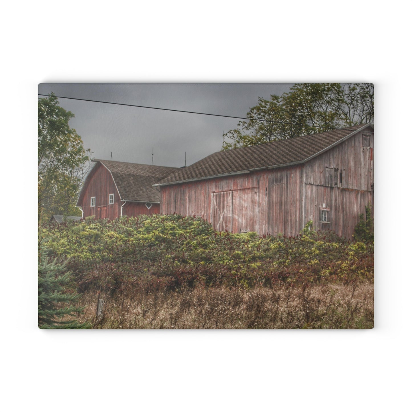 U R There Photography Washburn Reds Rustic Farmhouse Tempered-Glass Cutting Board