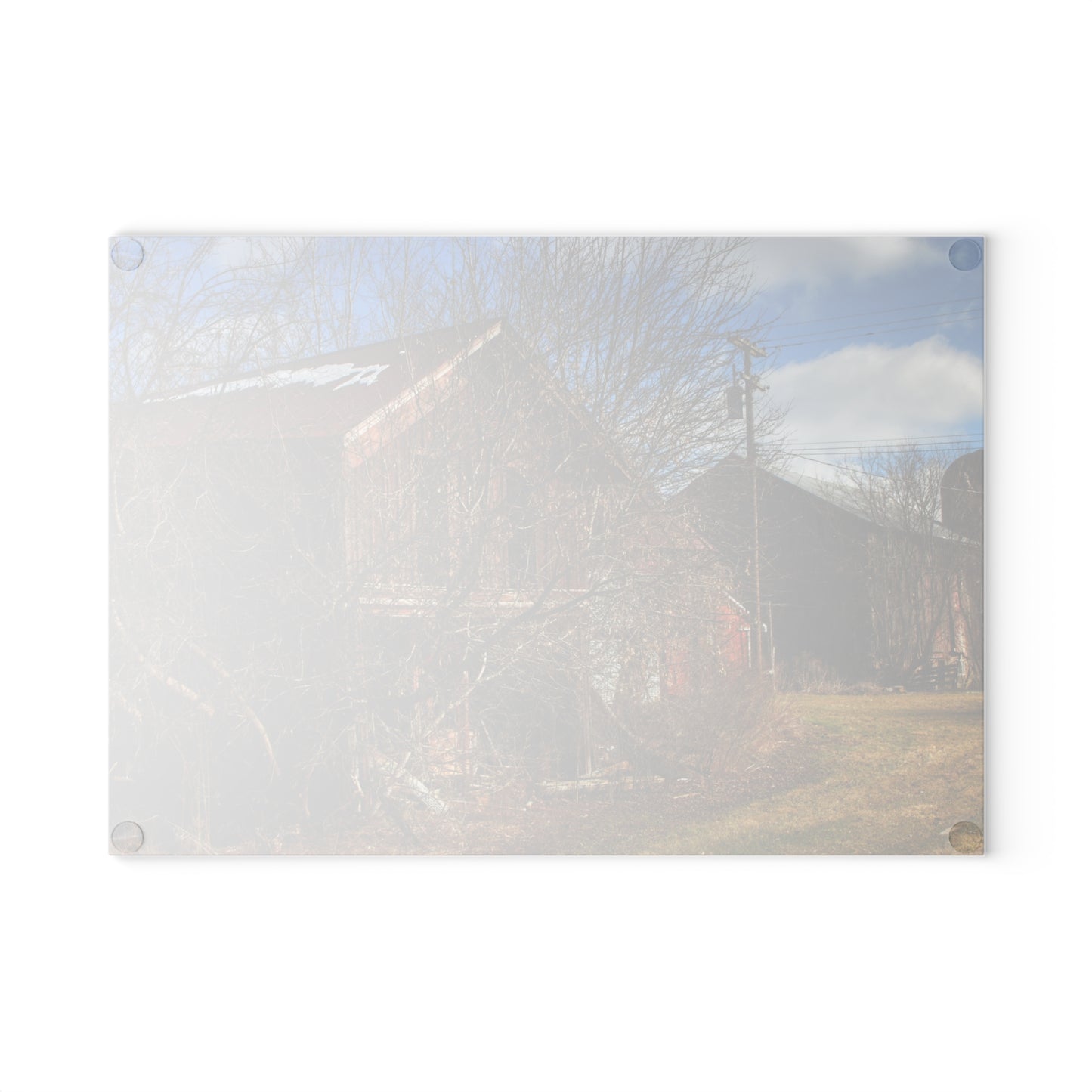 U R There Photography Buried Burnside Greys II Rustic Farmhouse Tempered-Glass Cutting Board