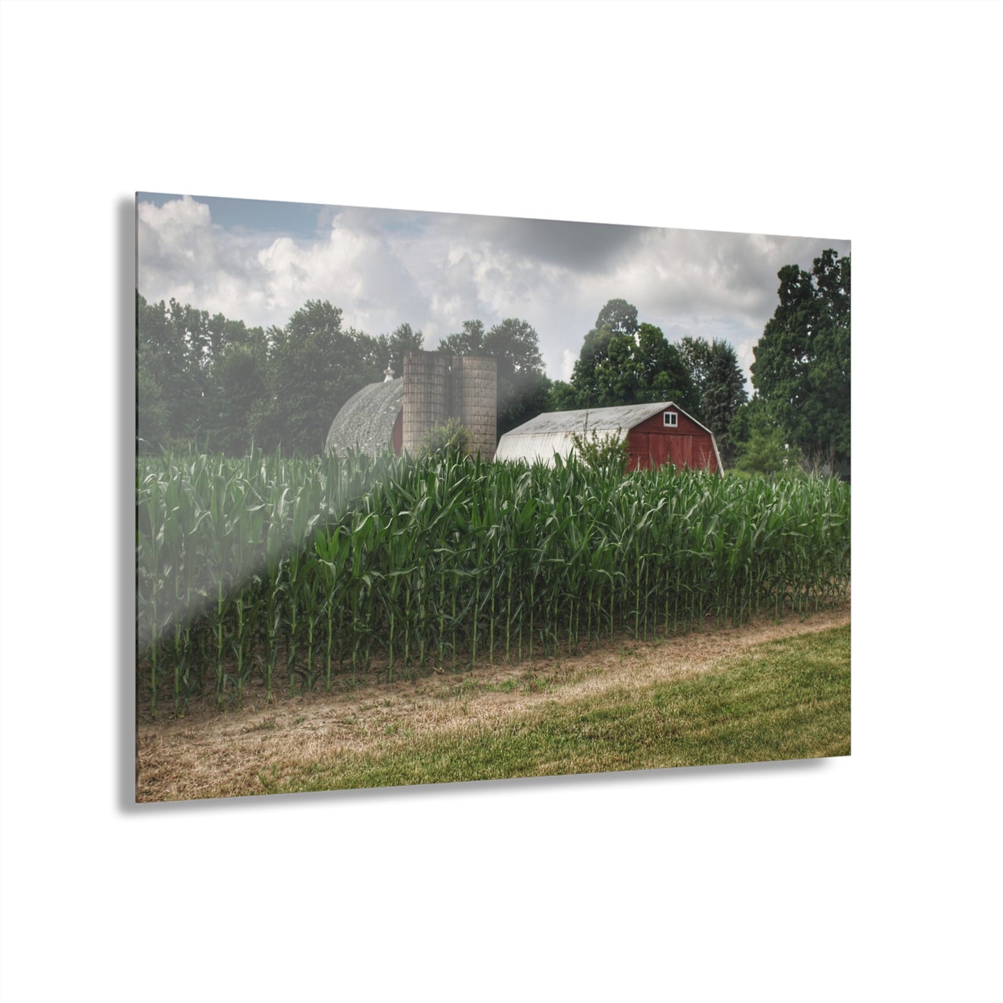 U R There Photography Scotch Settlement Reds Rustic Farmhouse Acrylic Wall Print