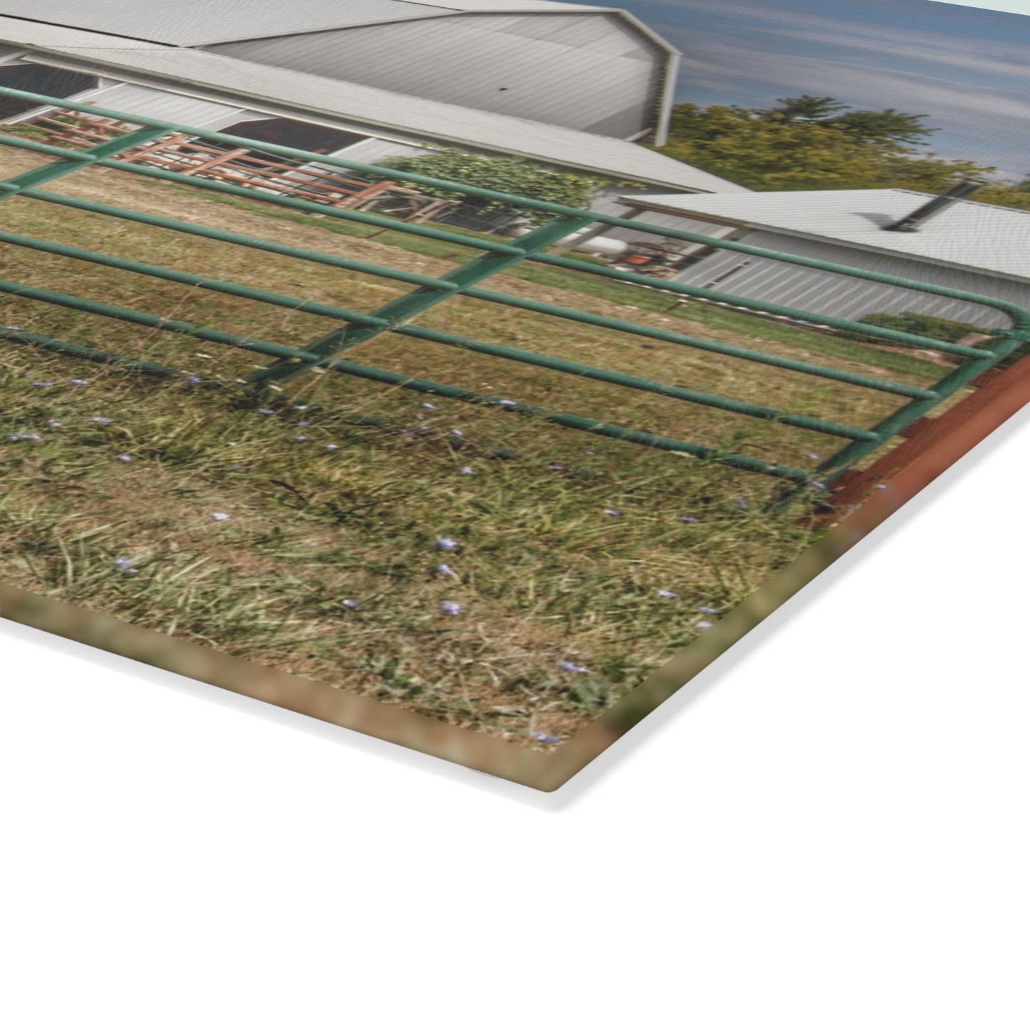 U R There Photography Petz Road Grey Rustic Farmhouse Tempered-Glass Cutting Board