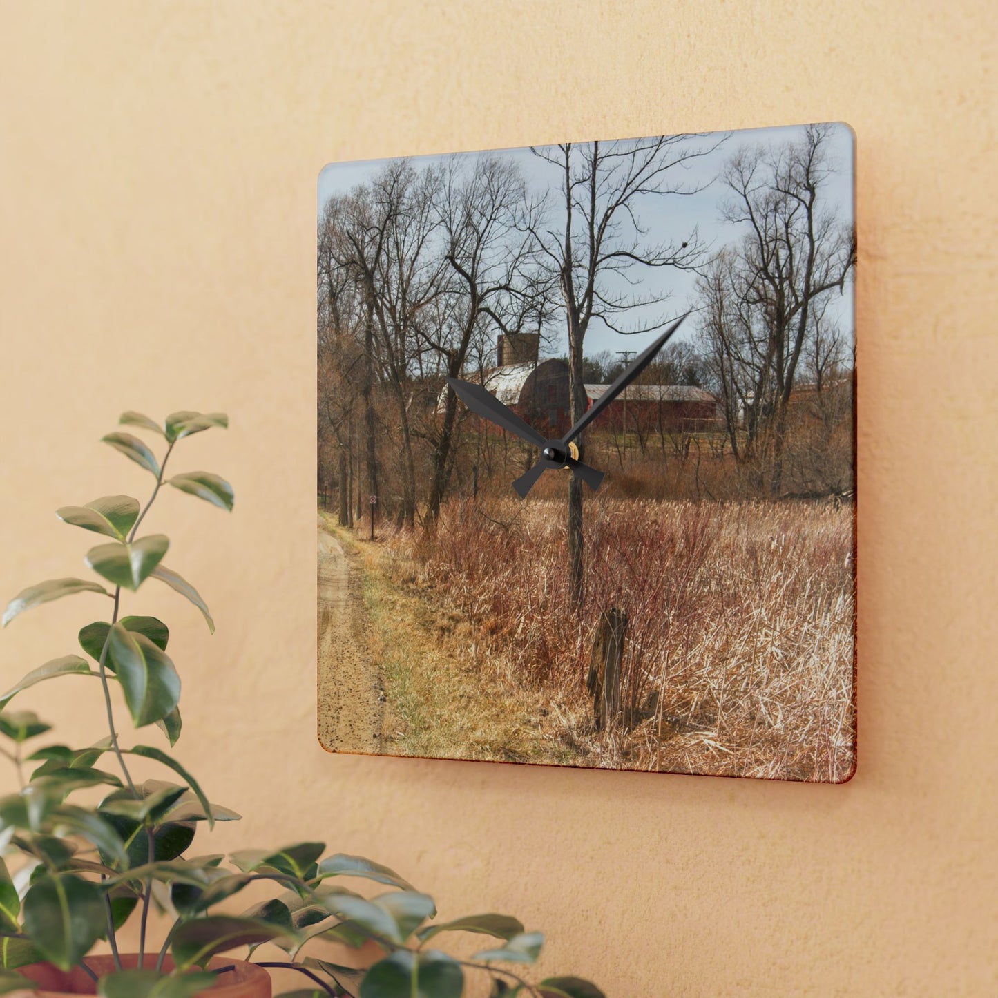 U R There Photography Hough Road Hidden Reds Rustic Farmhouse Acrylic Analog Wall Clock