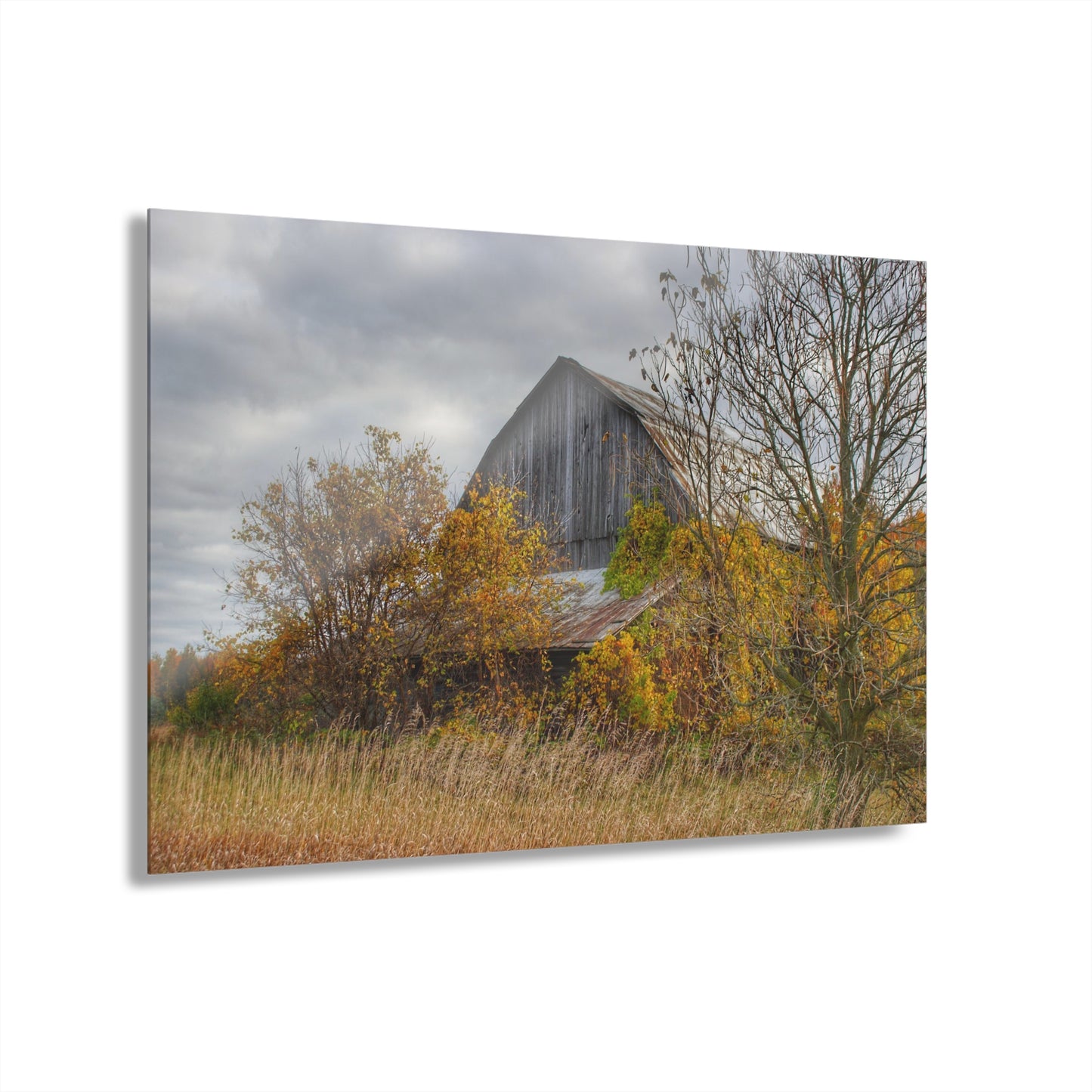 U R There Photography Church Road Grey IV Rustic Farmhouse Acrylic Wall Print