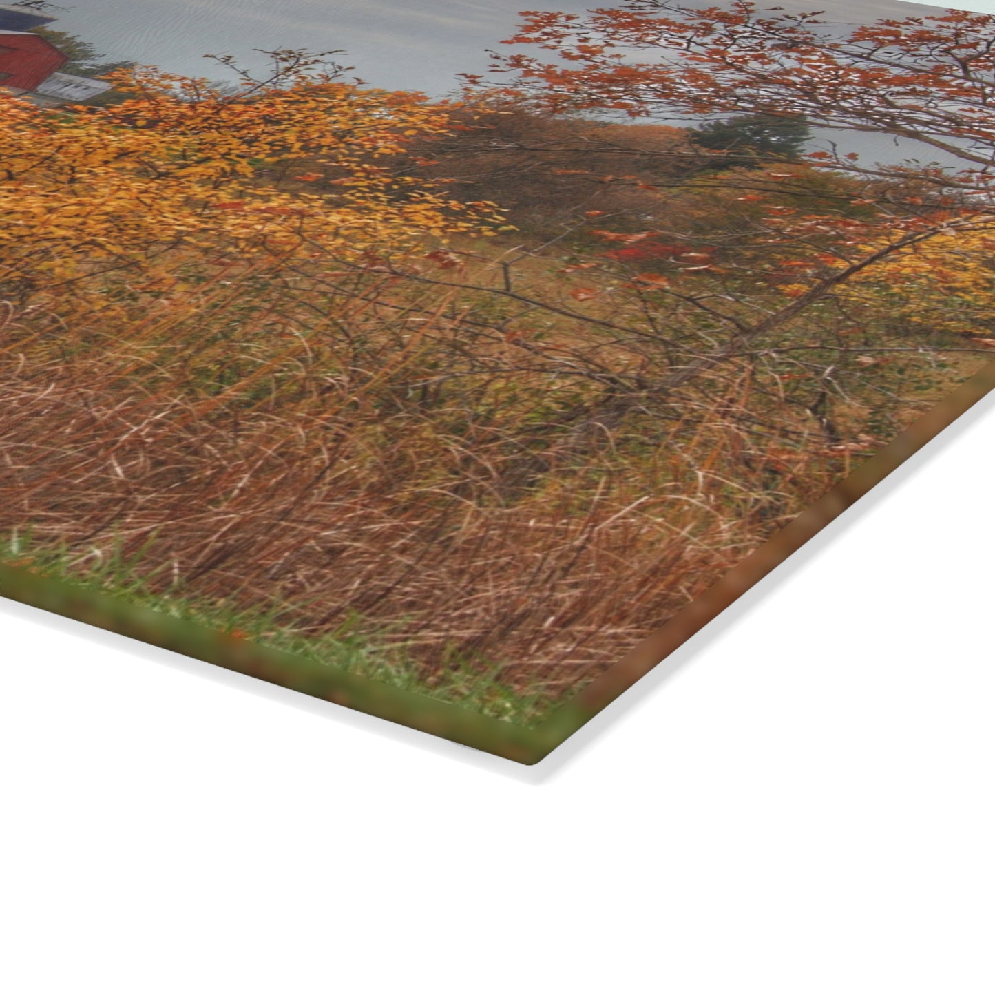 U R There Photography Vienna Road Red and Silo Rustic Farmhouse Tempered-Glass Cutting Board