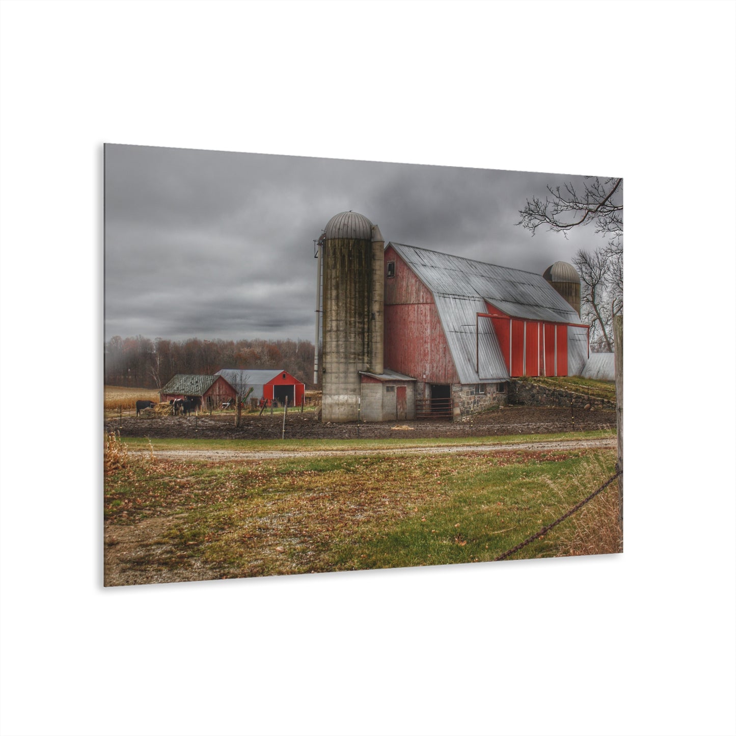 U R There Photography Slattery Roadside Red I Rustic Farmhouse Acrylic Wall Print